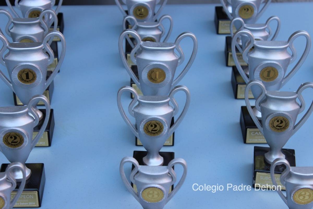 2014 03 15 VI CROS PADRE DEHON (495)